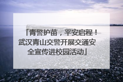 青警护苗，平安启程！武汉青山交警开展交通安全宣传进校园活动